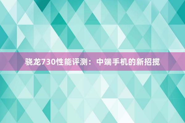 骁龙730性能评测：中端手机的新招揽